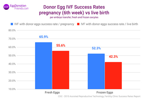 donor-egg-ivf-success-rates