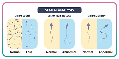 Problems with making healthy Sperm