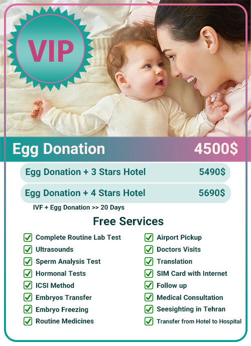 Cost IVF with donor egg Iran