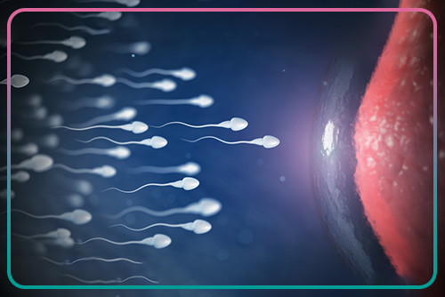 Key nutrients and vitamins to strengthen sperm