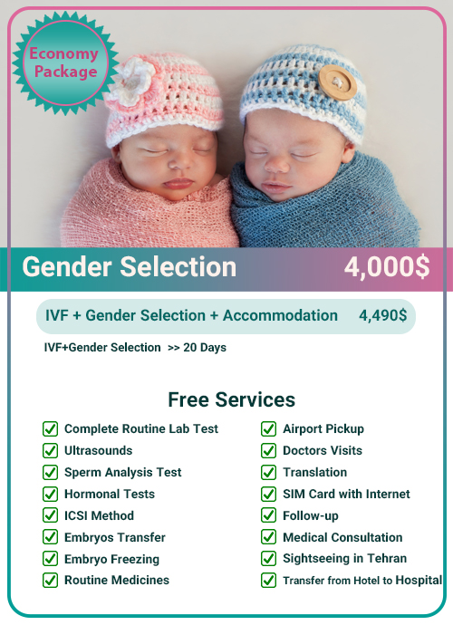 This image showcases the comprehensive IVF with gender selection package offered by Hayat MedTour in Iran. It highlights the affordable pricing and the high success rates achieved through advanced medical expertise and state-of-the-art facilities. The package includes various stages of treatment, from egg retrieval to embryo transfer, ensuring a seamless and successful journey towards parenthood.