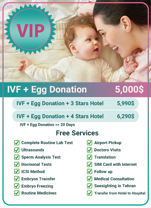 Affordable IVF with Donor Eggs in Iran. Discover Hayatmedtour's transparent pricing and details for our IVF donor egg packages.