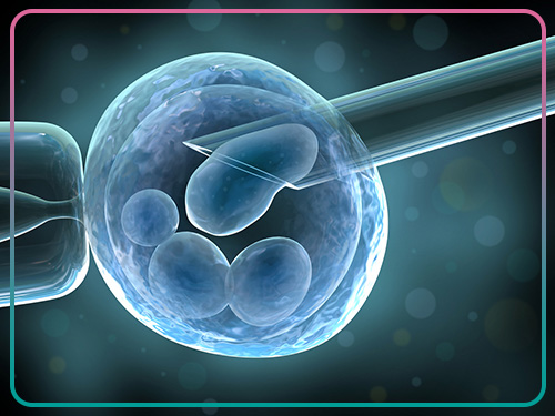 الطرق المؤثرة لنمو الجنين في عملية أطفال الأنابيب