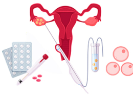 Egg Retrieval Process