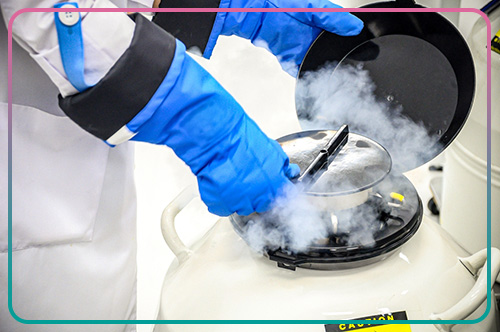 مراحل تجميد البويضات خطوة بخطوة